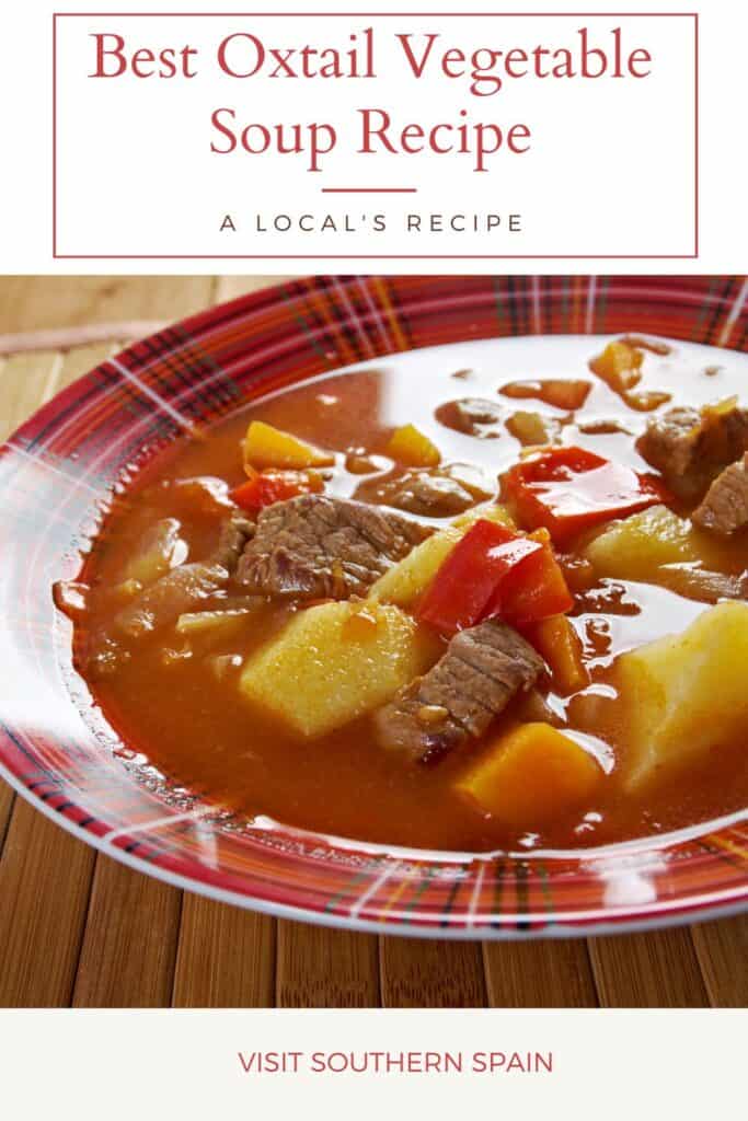 a pin with oxtail vegetable soup, a spanish oxtail soup