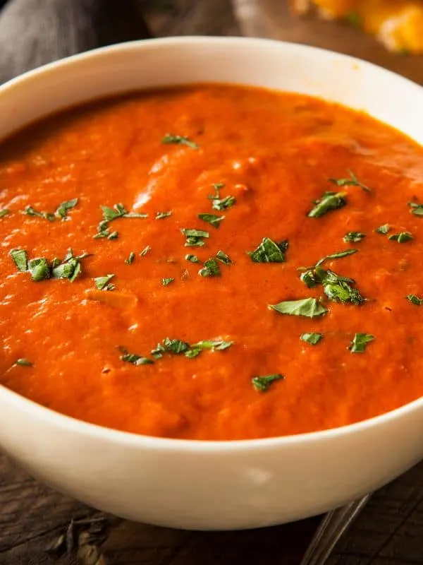 closeup of a tomato pumpkin soup from Spain