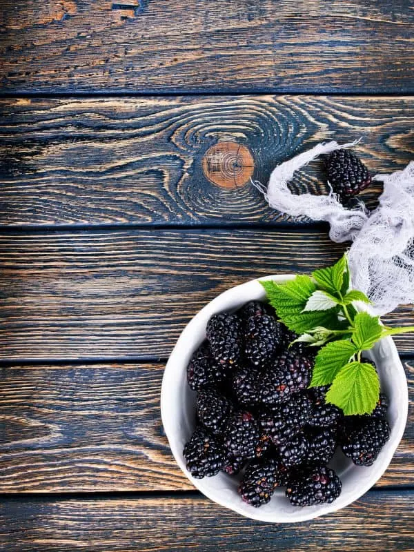 fresh blackberries for the chilled blackberry soup