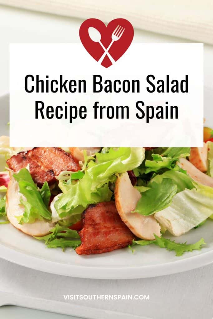 a pin with a chicken bacon salad on a place.