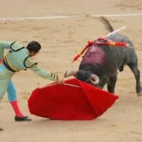 a person in a blue and red outfit holding a red cape over a bull