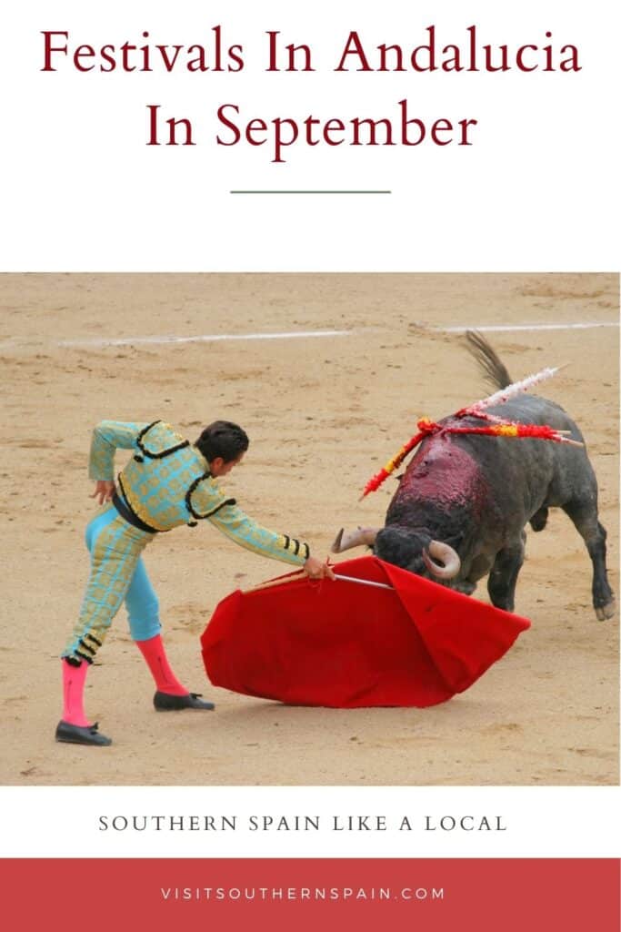 a person in a blue and red outfit holding a red cape over a bull