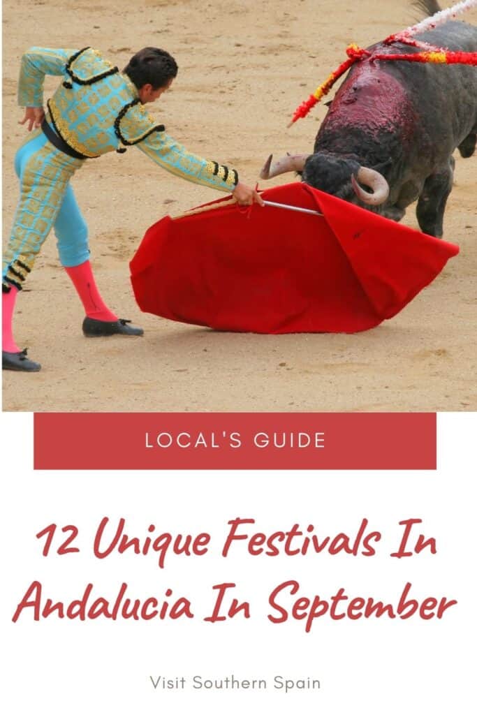 a person in a blue and red outfit holding a red cape over a bull