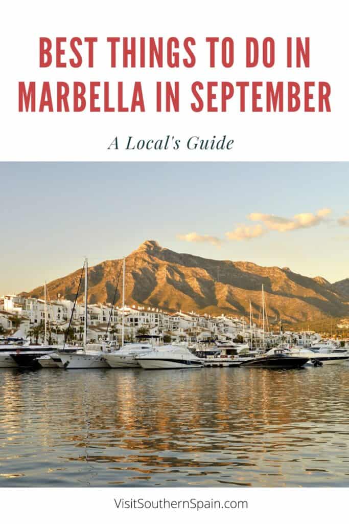 a port in Marbella seen from the water