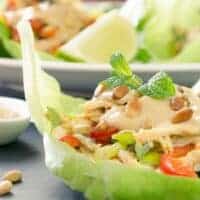 closeup of chicken salad wraps