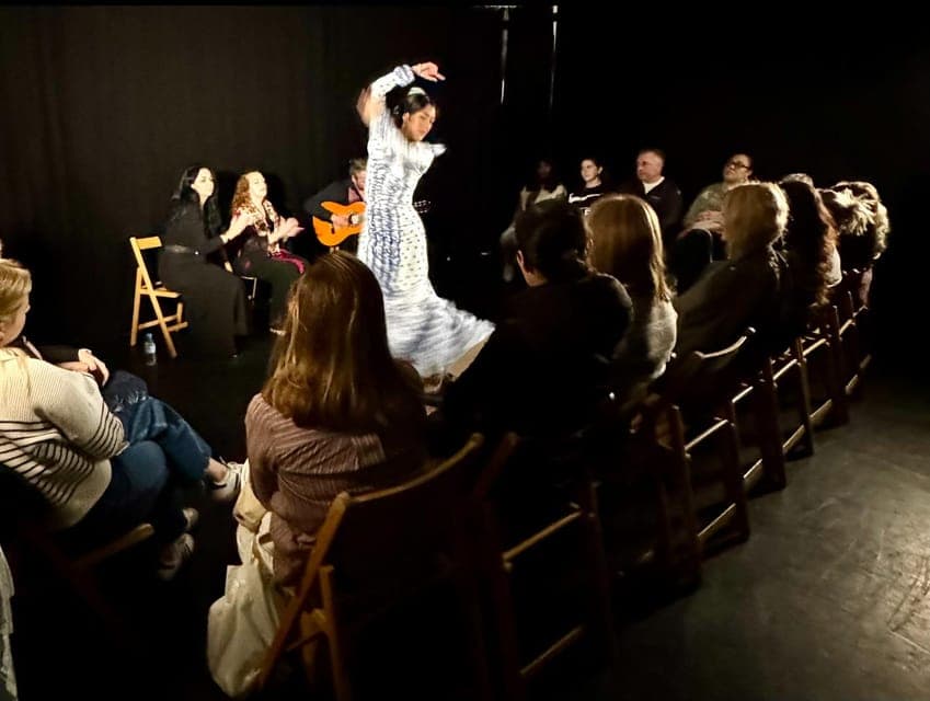 a flamenco dancer inside a circle with musician and audience watching