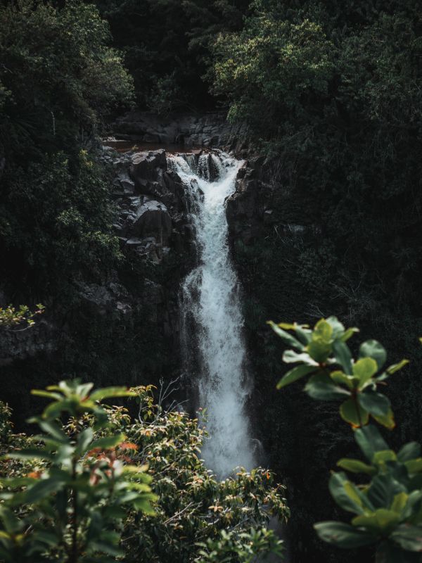 La Rejía Waterfall in Sierra de las Nieves in Tolox, Malaga
