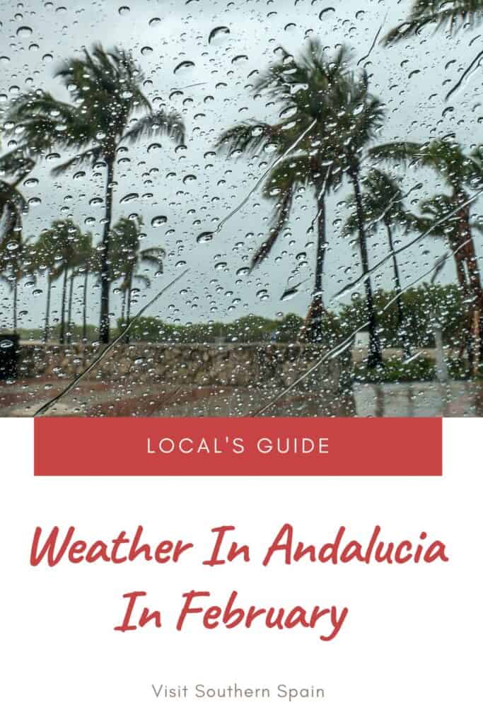 a pin with rain and palm trees, weather in andalucia in february