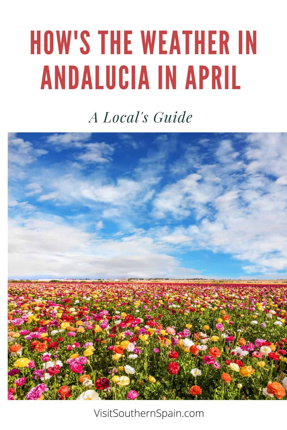 a pin with a field of flowers in Andalucia, weather in andalucia in april